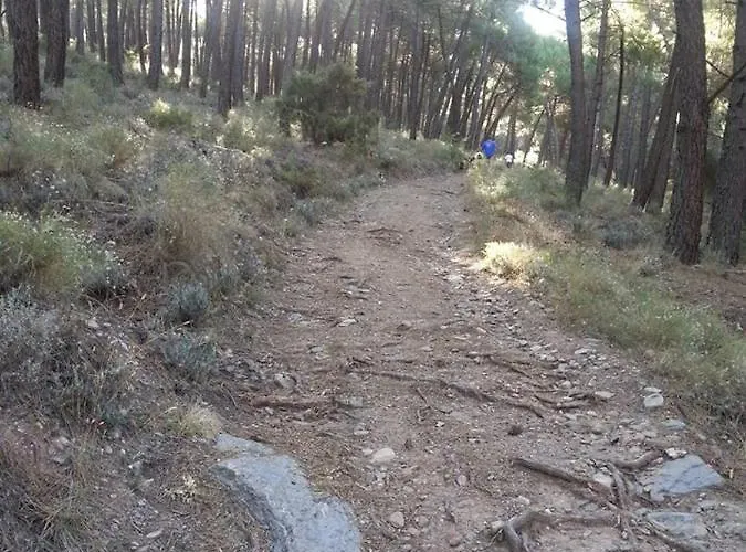 Peaks Rural Frühstückspension